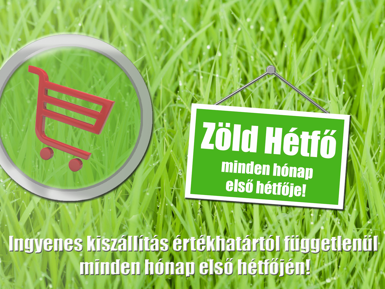ingyen szállítás zöld hétfő